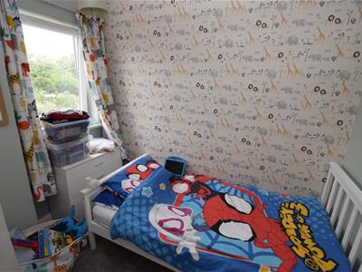 Picture 19